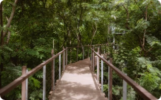 บทความ / เส้นทางท่องเที่ยว