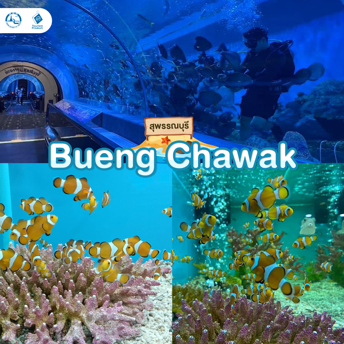 ท่องโลกใต้ทะเล 6 อควาเรียม มหัศจรรย์ใต้น้ำ Bueng Chawak