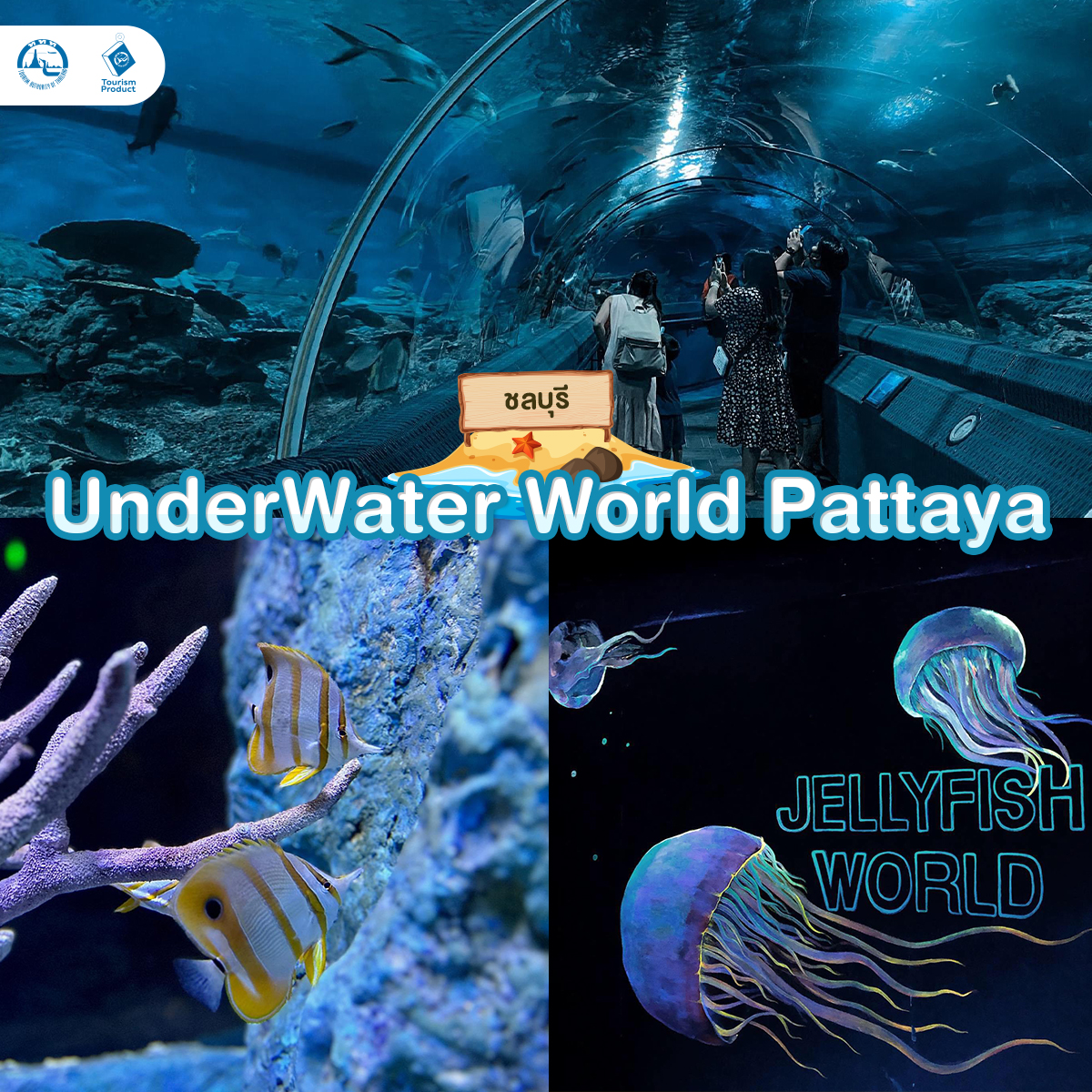 ท่องโลกใต้ทะเล 6 อควาเรียม มหัศจรรย์ใต้น้ำ Under Water World Pattaya