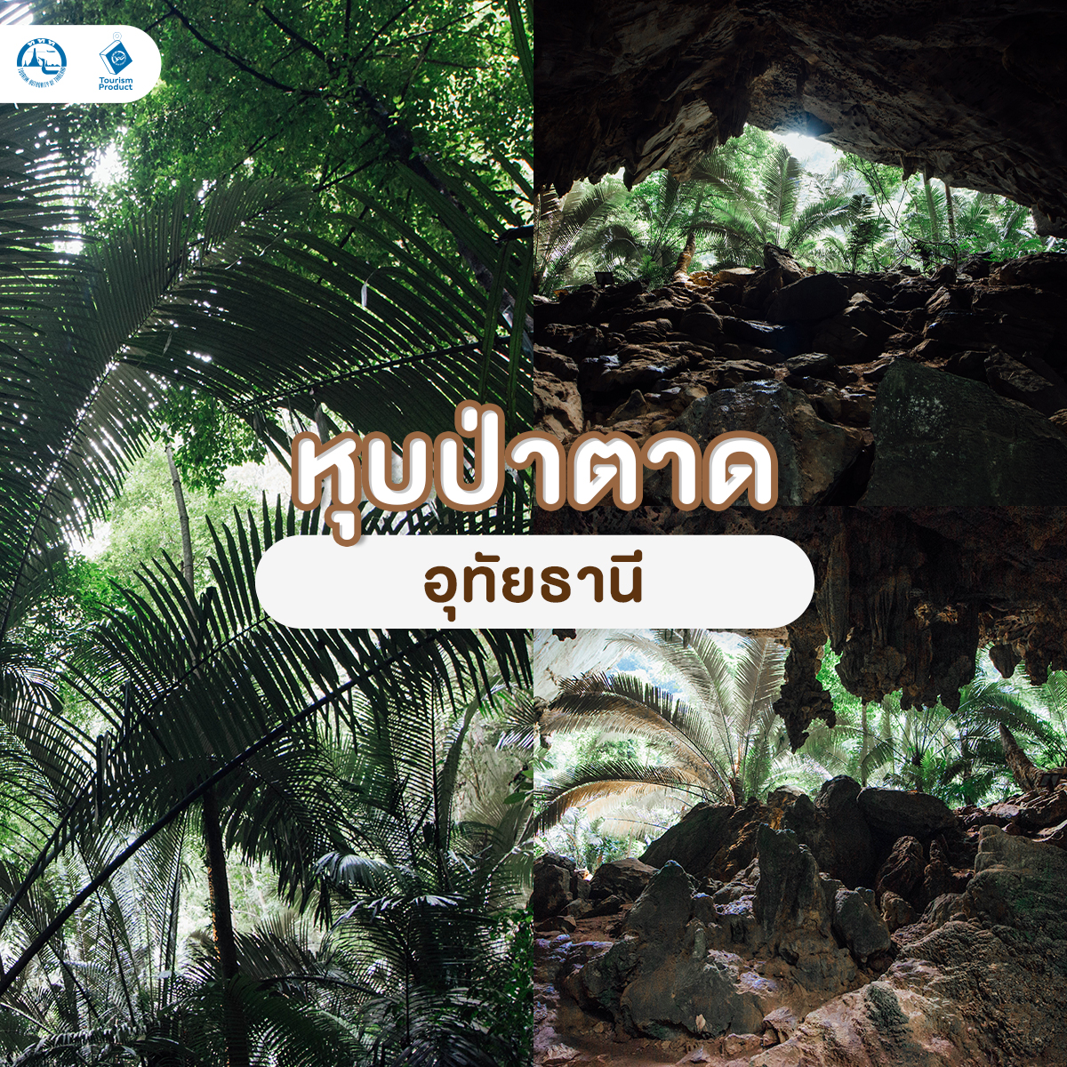 ปักหมุด UNSEEN เมืองไทย สวยเเค่ไหนต้องตามไปดู หุบป่าตาด