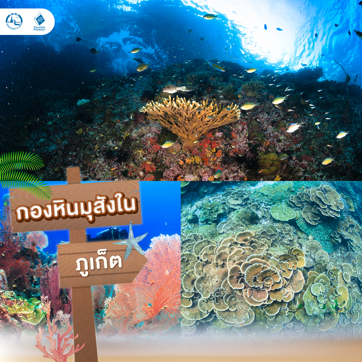 ปัก 5 จุดดำน้ำในไทย สายเเกร่งต้องไป กองหินมุสังใน