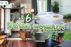 รวม 6 ที่พักรักษ์โลก นอนสบาย แบบไม่ทำร้ายโลก ปก