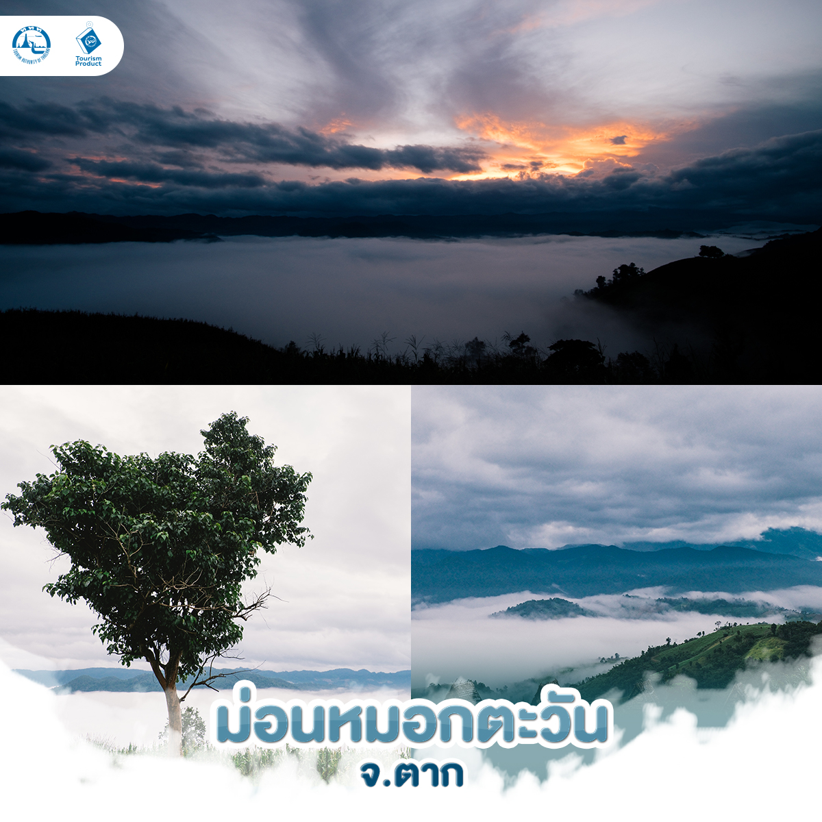 5 แหล่งท่องเที่ยวสวย เที่ยวไทยแบบ Unseen ม่อนหมอกตะวัน ตาก