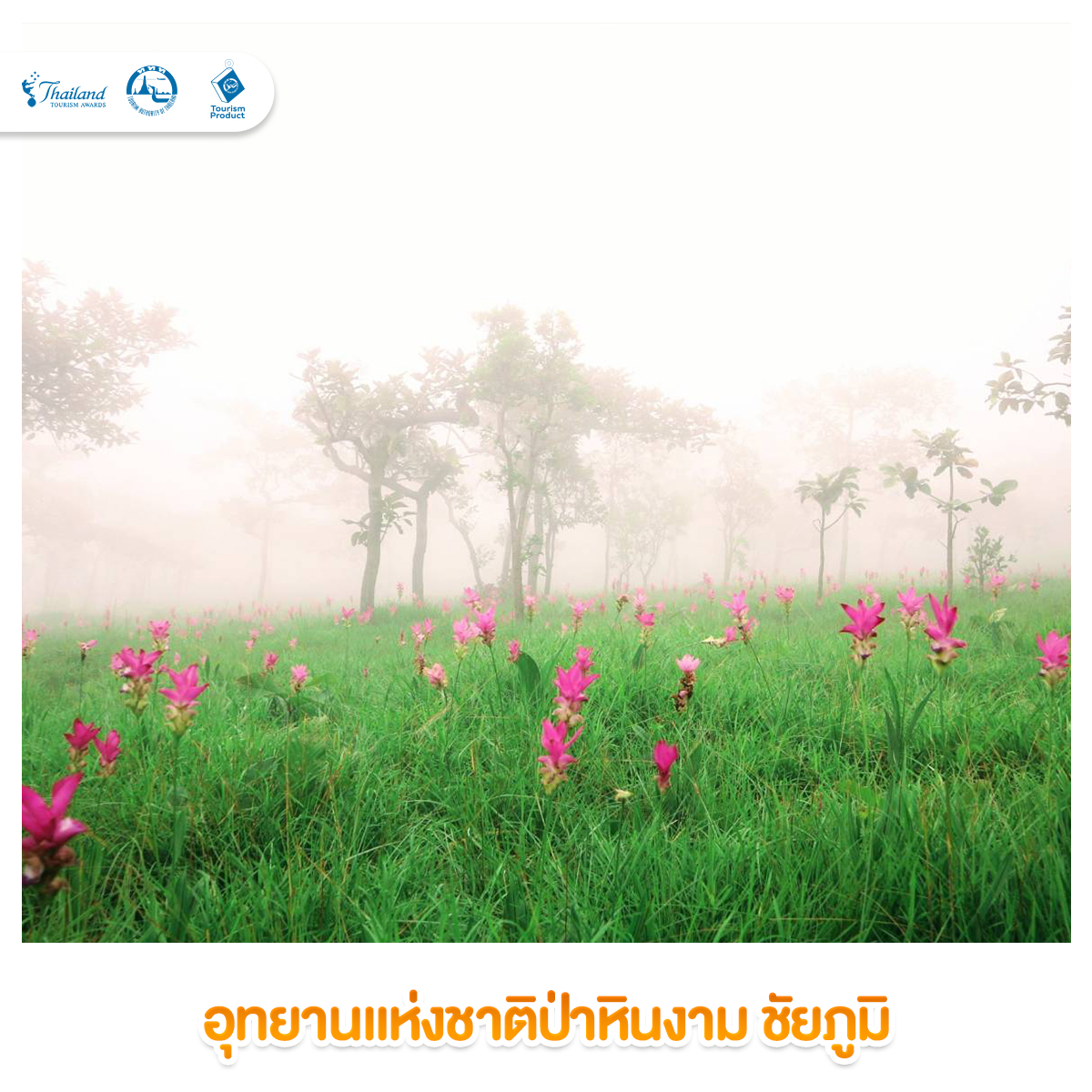 ที่เที่ยวธรรมชาติ บรรยากาศดีเที่ยวได้ตลอดปี รางวัล TTA อุทยานแห่งชาติป่าหินงาม ชัยภูมิ