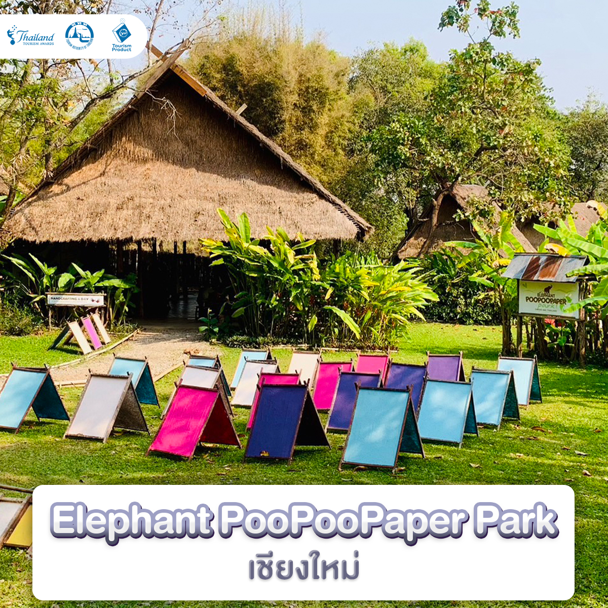 แหล่งเรียนรู้ สนุกชิลล์ เที่ยวเพลิน รางวัล Thailand Tourism Awards Elephant PooPooPaper Park เชียงใหม่