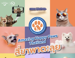 Amazing Happy Paw